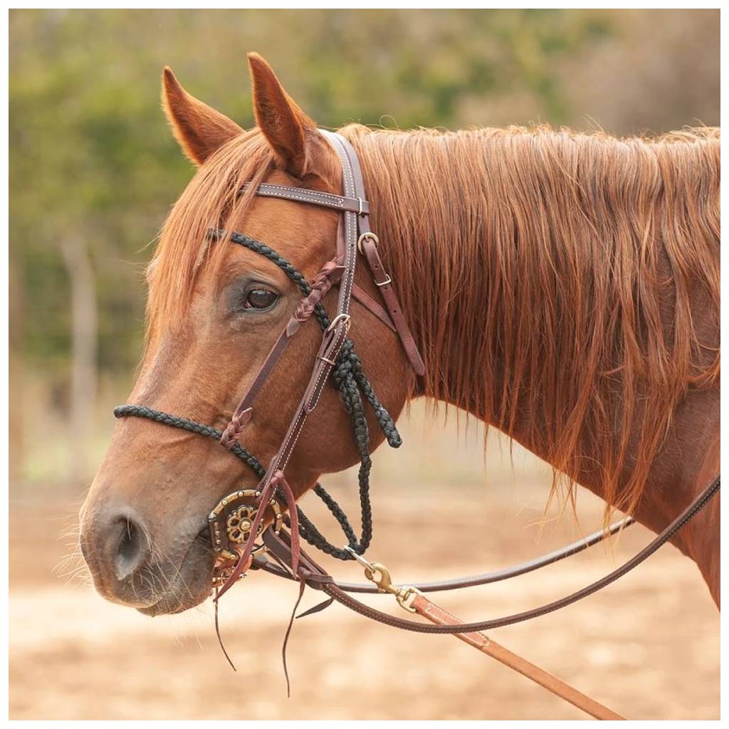 Martin Saddlery Bonnet Tie Down