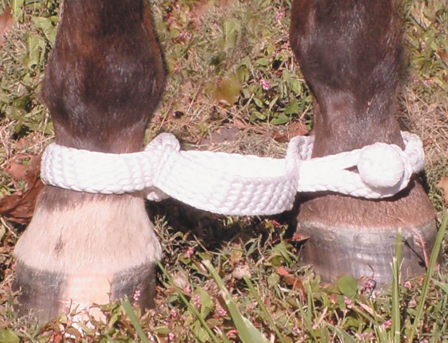 Mustang Braided Hobble