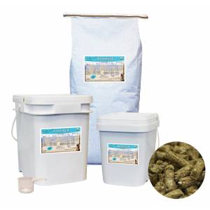 A.B.C's Fortified Organic Equine Supplement