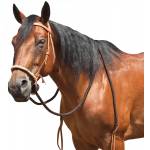 Mustang Breaking Hackamore with Round Braided Noseband
