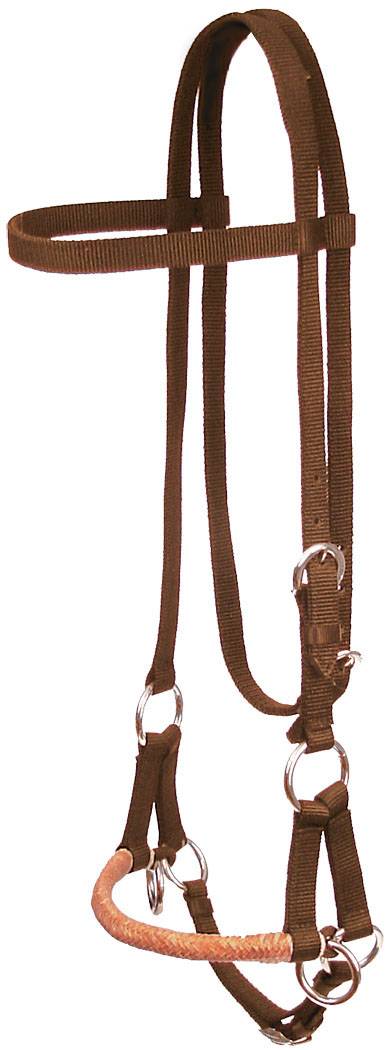 Mustang Side Pull with Rawhide Noseband Headstall