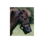 Ozark Miniature Horse Halter Square Muzzle