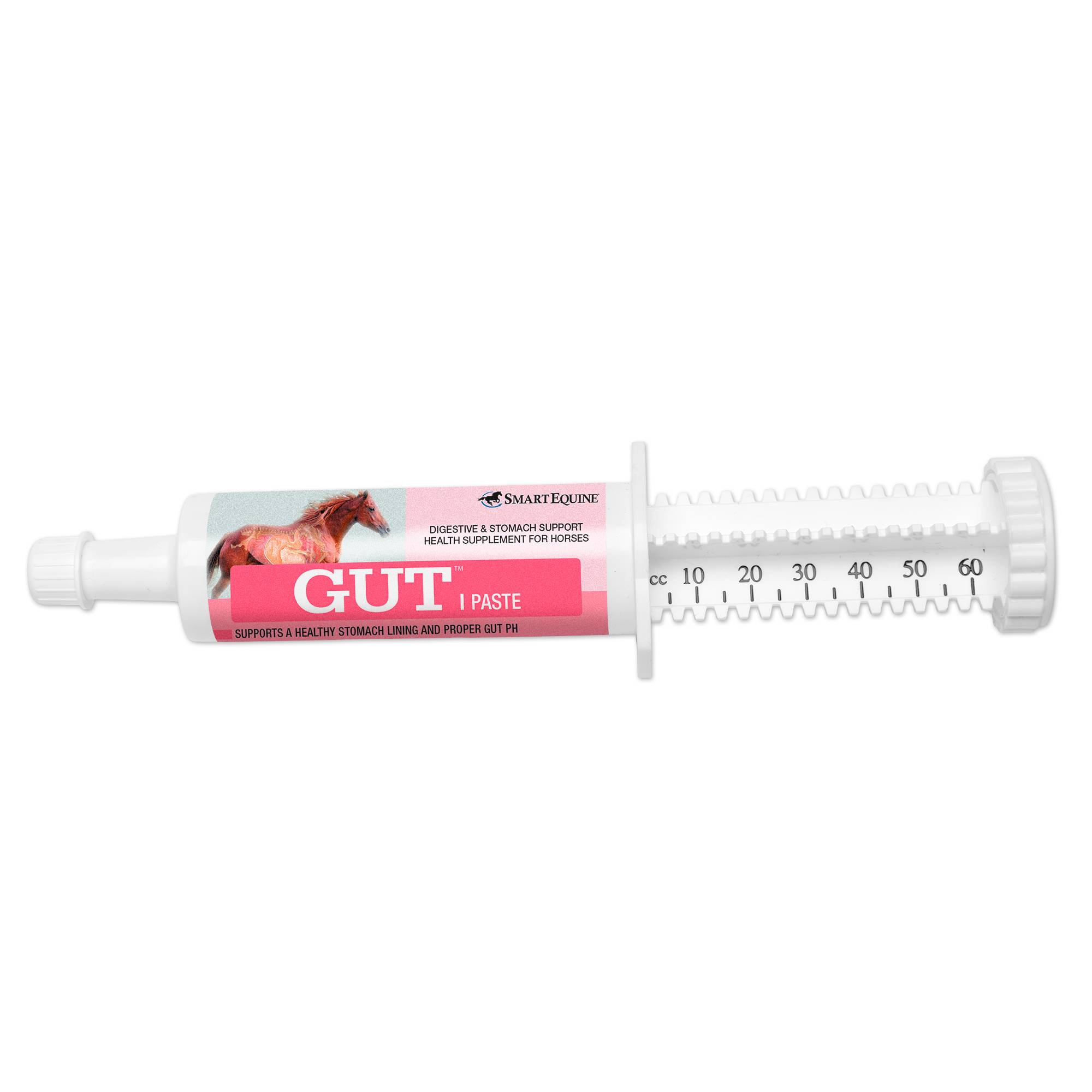 SmartEquine GUT Paste