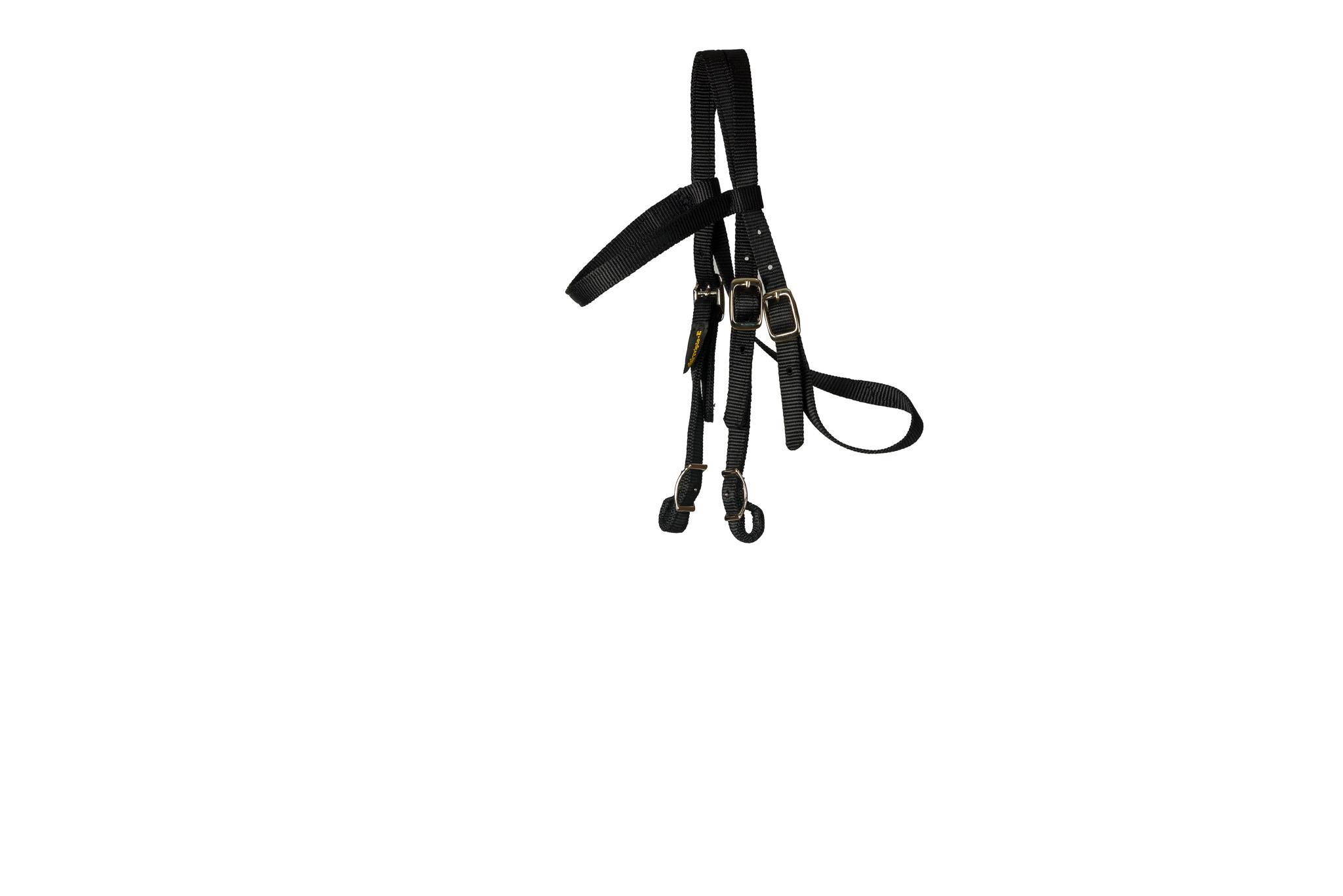 Triple E Mini Browband Headstall with Conway Buckles