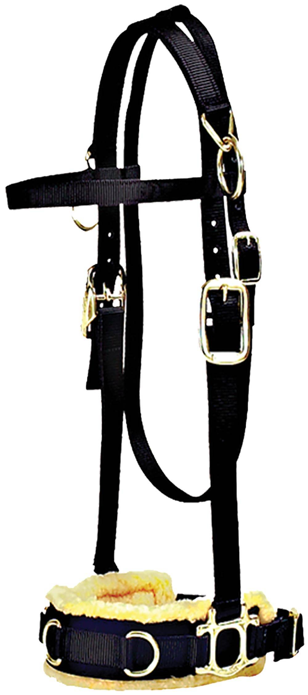 Mustang Poly Lunge Caveson