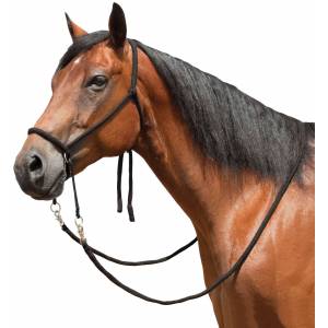Mustang Bitless Bridle with 9' Flat Braided Reins