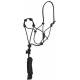 Mustang Secure Rope Halter with 12' Lead