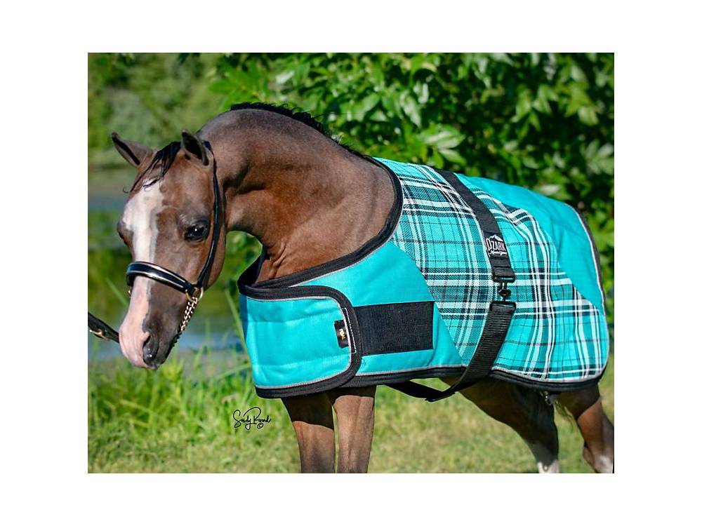 Ozark Mini Foal Blanket HorseLoverZ