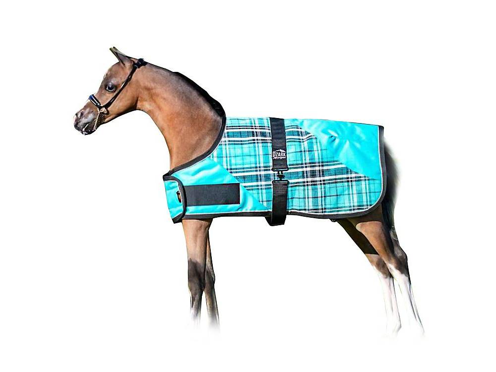 Ozark Mini Foal Blanket HorseLoverZ