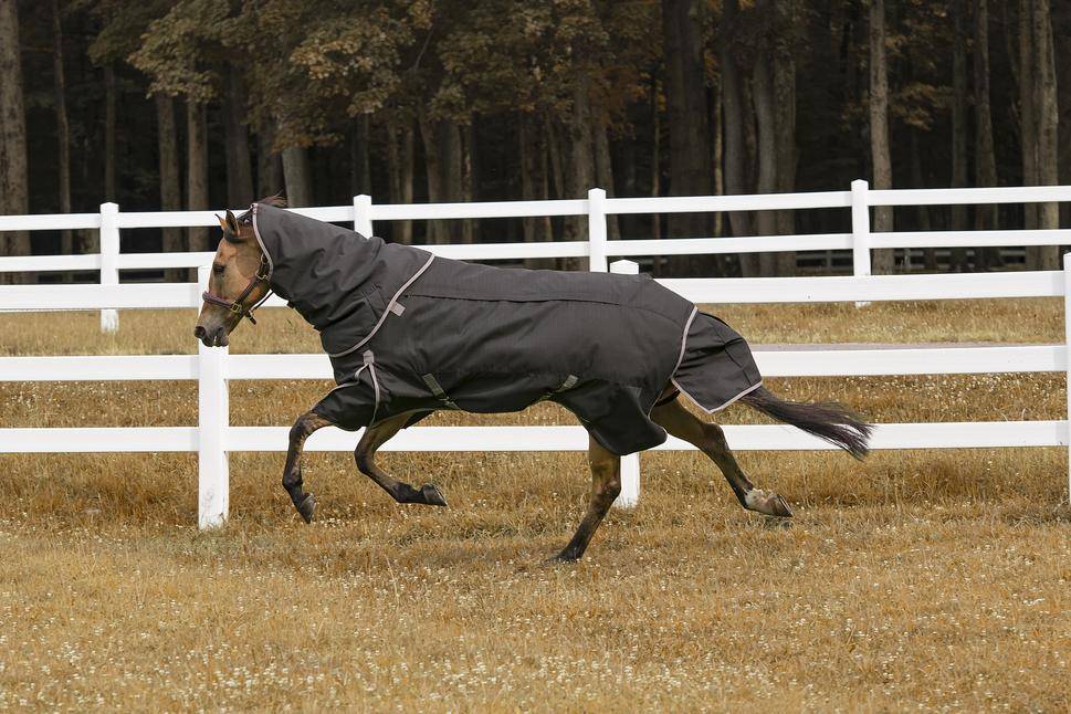 TuffRider 4-In-1 Waterproof All Season Blanket
