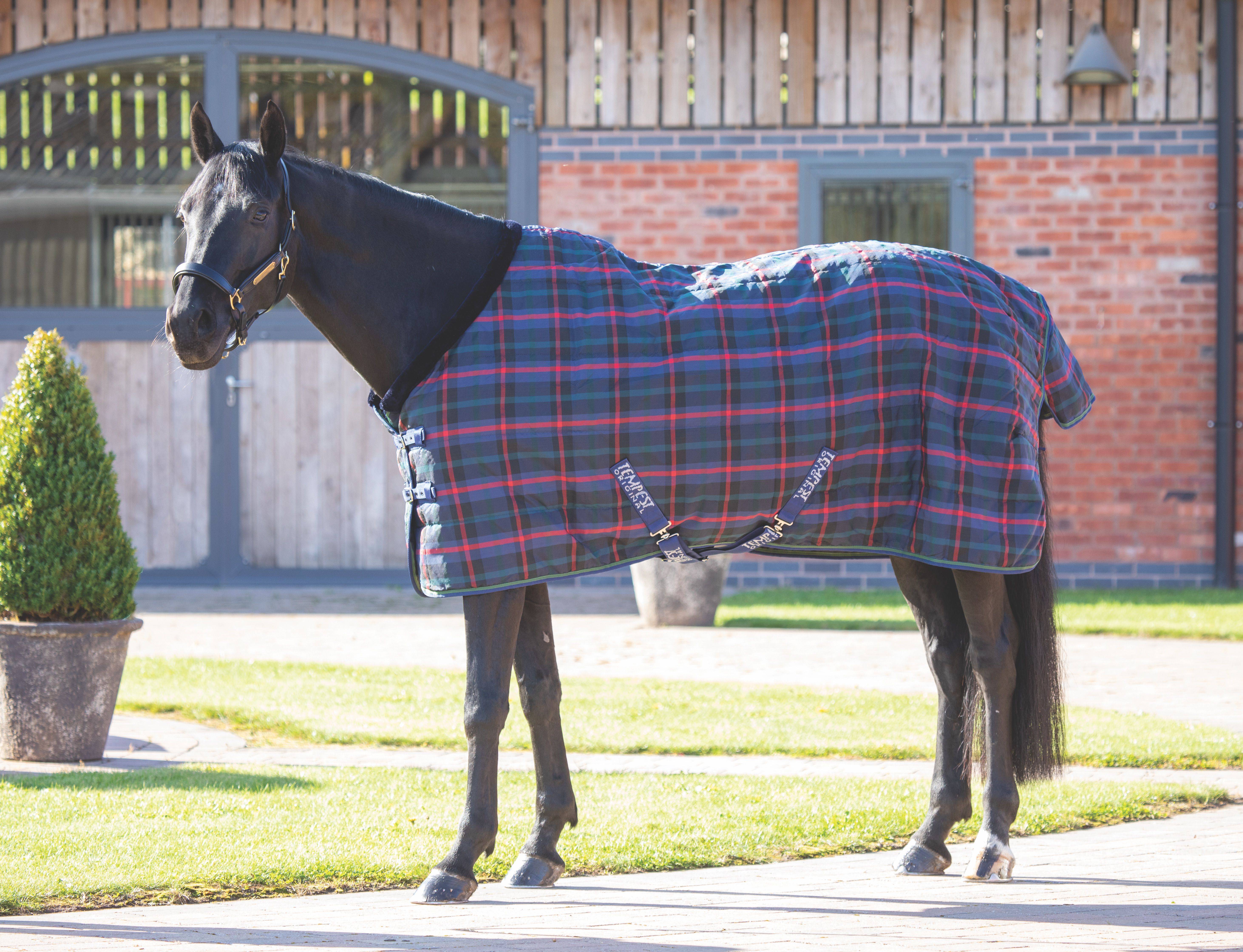 Shires Warma Rug 100G Black 84 