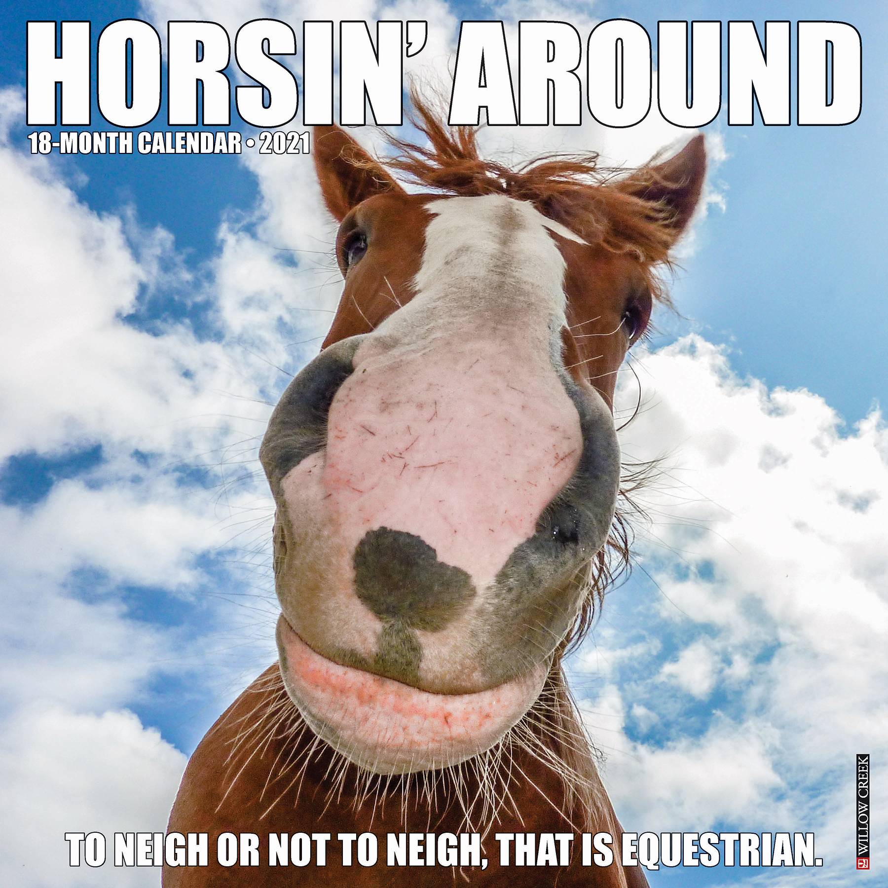 2021 Horsin' Around 18 Month Calendar