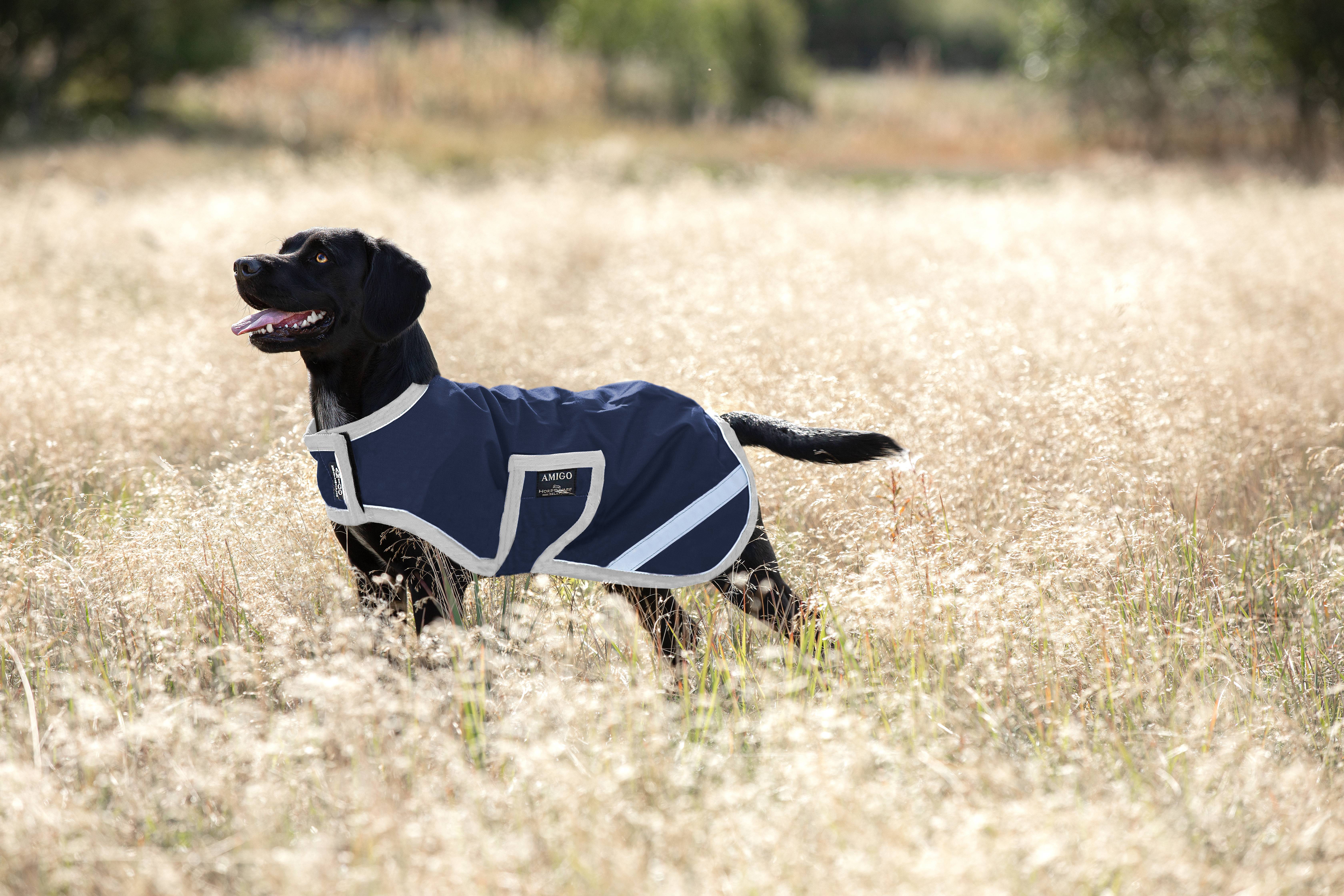 Amigo dog clearance blanket