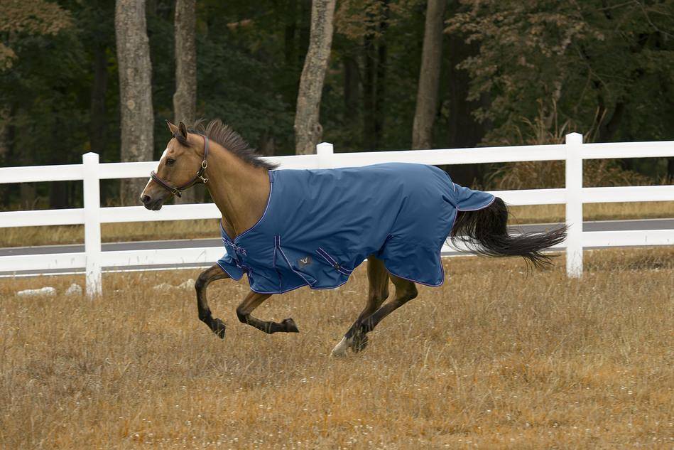TuffRider 600D Comfy Winter Medium Weight Turnout Blanket Standard Neck 200 grams