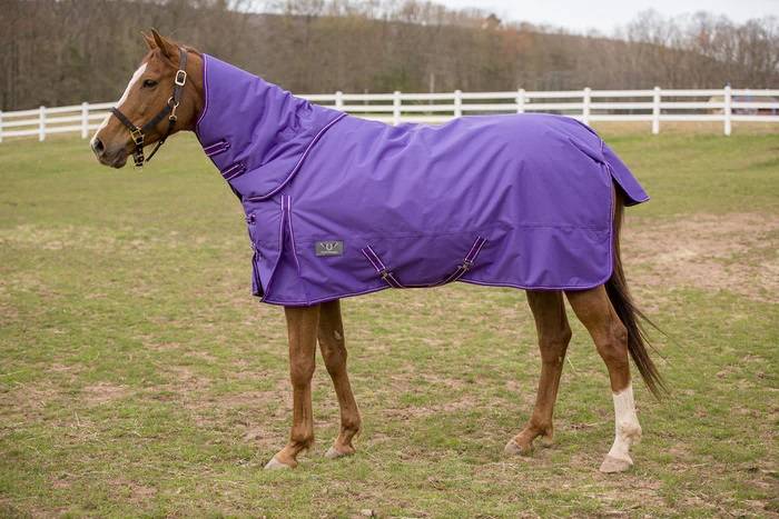 TuffRider 600D Comfy Winter Medium Weight Turnout Blanket Combo Neck 200 grams