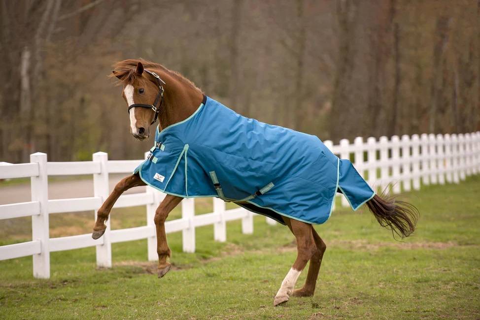 TuffRider Eco Rider 1200D Medium Weight Standard Neck Turnout Blanket 250 grams