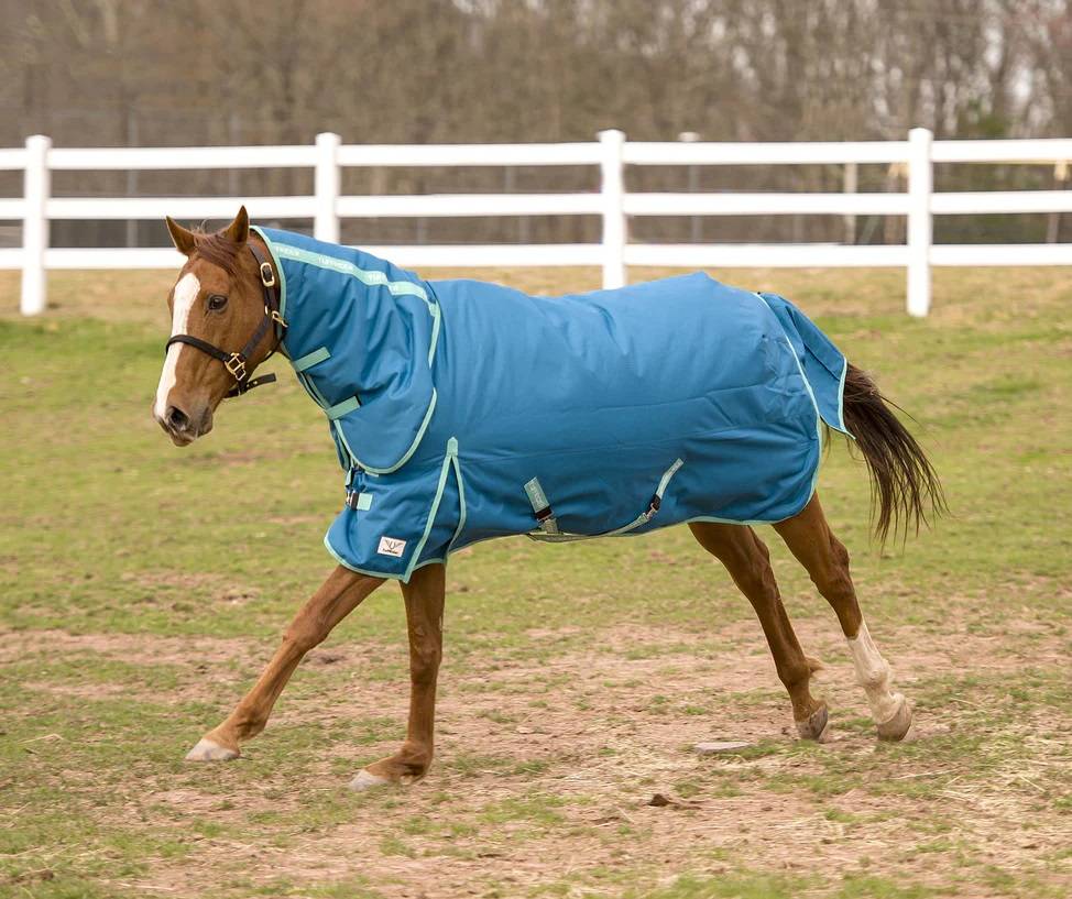 TuffRider Eco Rider 1200D Medium Weight Turnout Blanket Combo Neck 250 grams