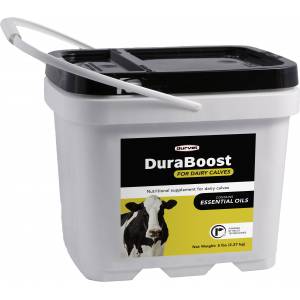Durvet Duraboost For Dairy Calves