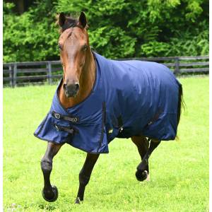 Gatsby 600D Waterproof Ripstop Turnout Sheet - FREE Blanket Storage Bag with Purchase - Valued at $24.99