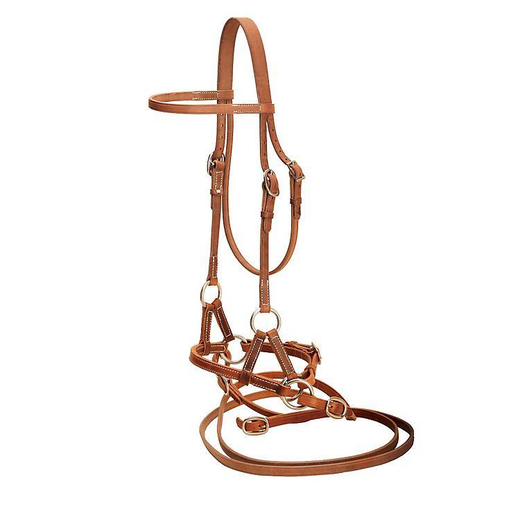 Tory Leather Harness Leather Side Pull with Reins