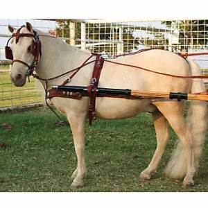 Ozark Miniature Pony Western Show Harness