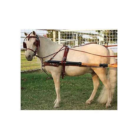 Ozark Miniature Pony Western Show Harness