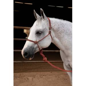 Professionals Choice Easy On Rope Halter with Lead