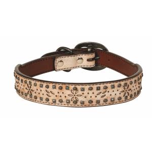 Weaver Leather Dog Collar