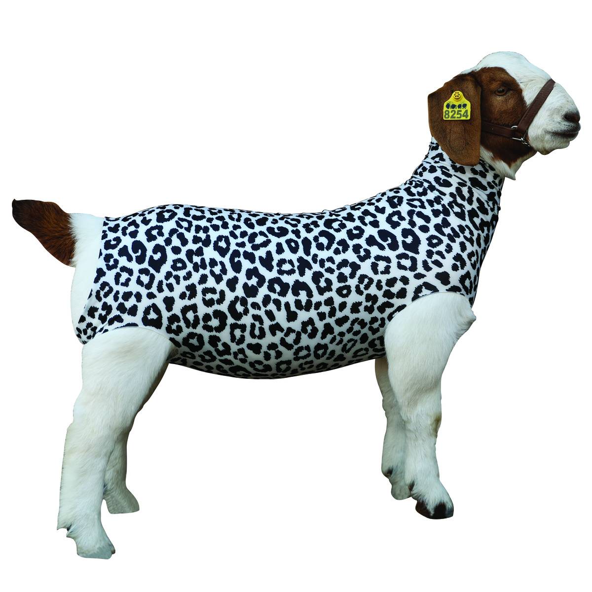 Weaver Spandex Goat Tube