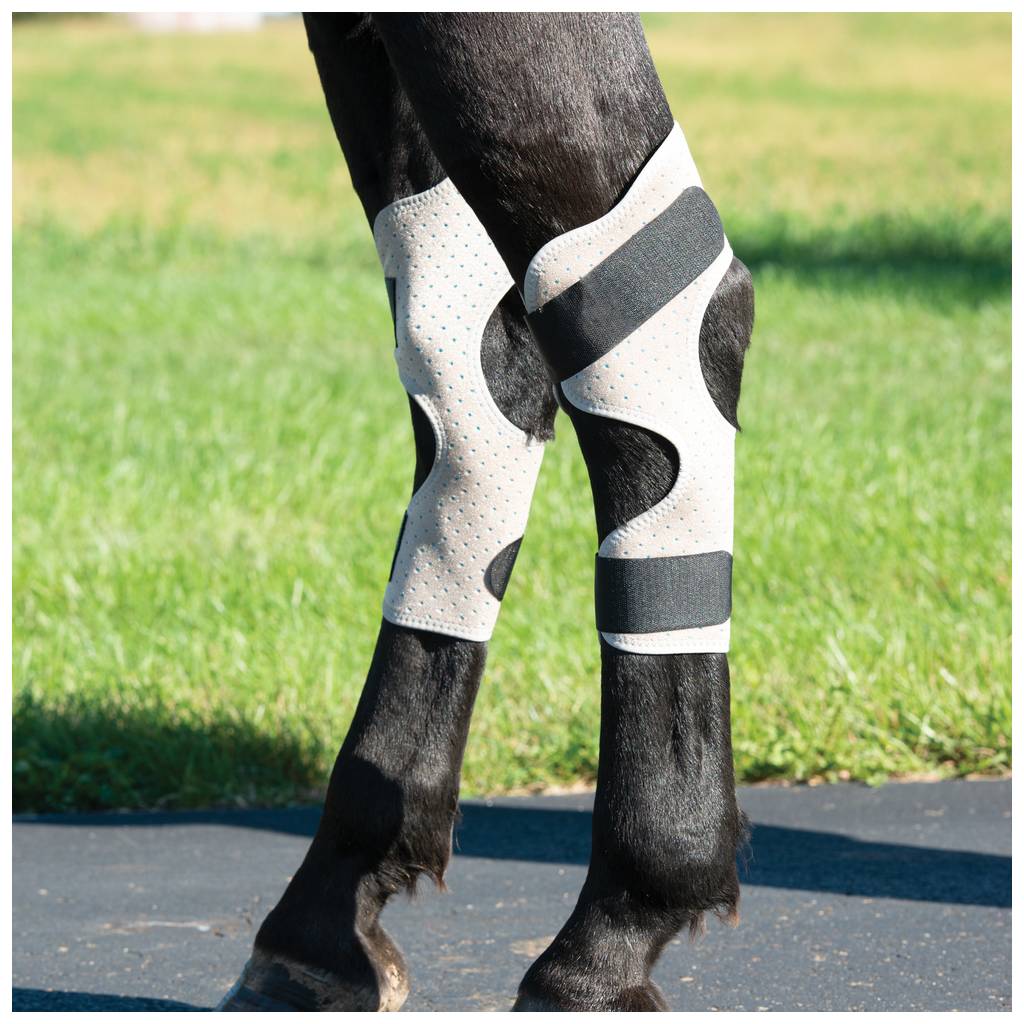 Weaver Leather CoolAid Equine Icing andCooling Hock Wraps