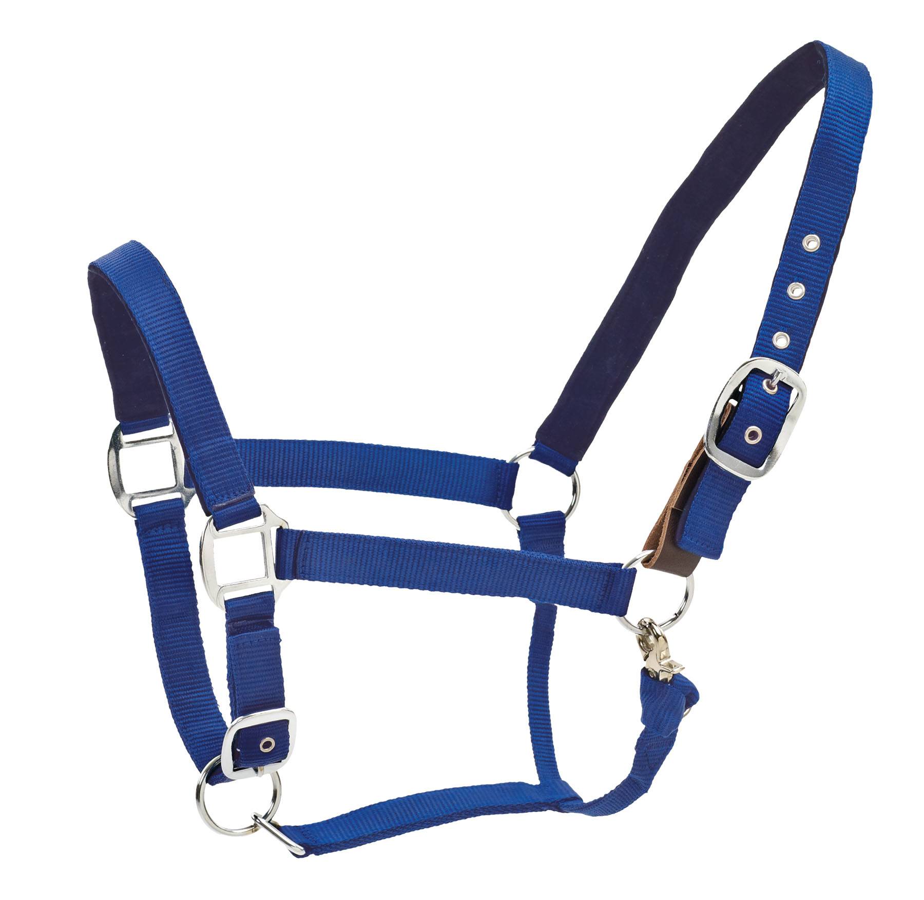 Centaur Solid Cushion Padded Breakaway Halter
