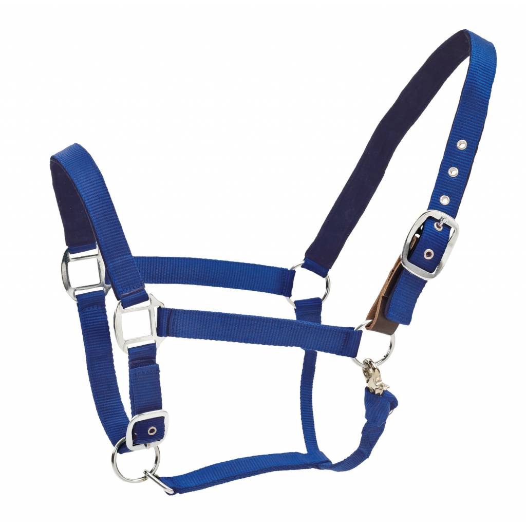 Centaur Solid Cushion Padded Breakaway Halter