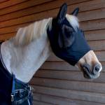 Catago Equestrian Horse Health Care