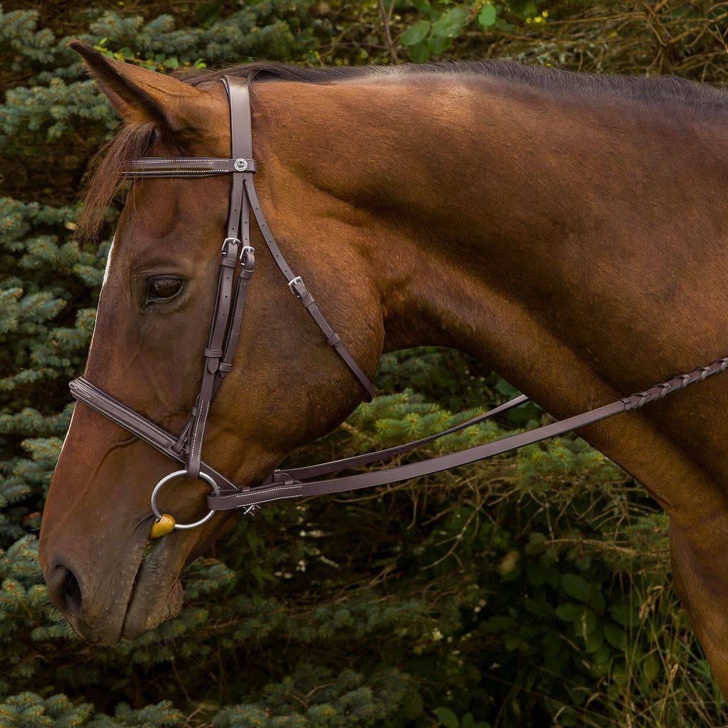 Henri de Rivel Horse Advantage Fancy Raised Padded Bridle with Laced Reins