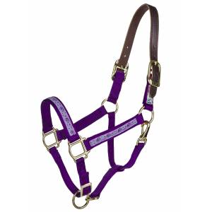 Perri's Ribbon Safety Halter - Made in the USA - Horse - Horse Head
