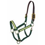 BOGO: Perri's Ribbon Safety Halter - Made in the USA- Carrots