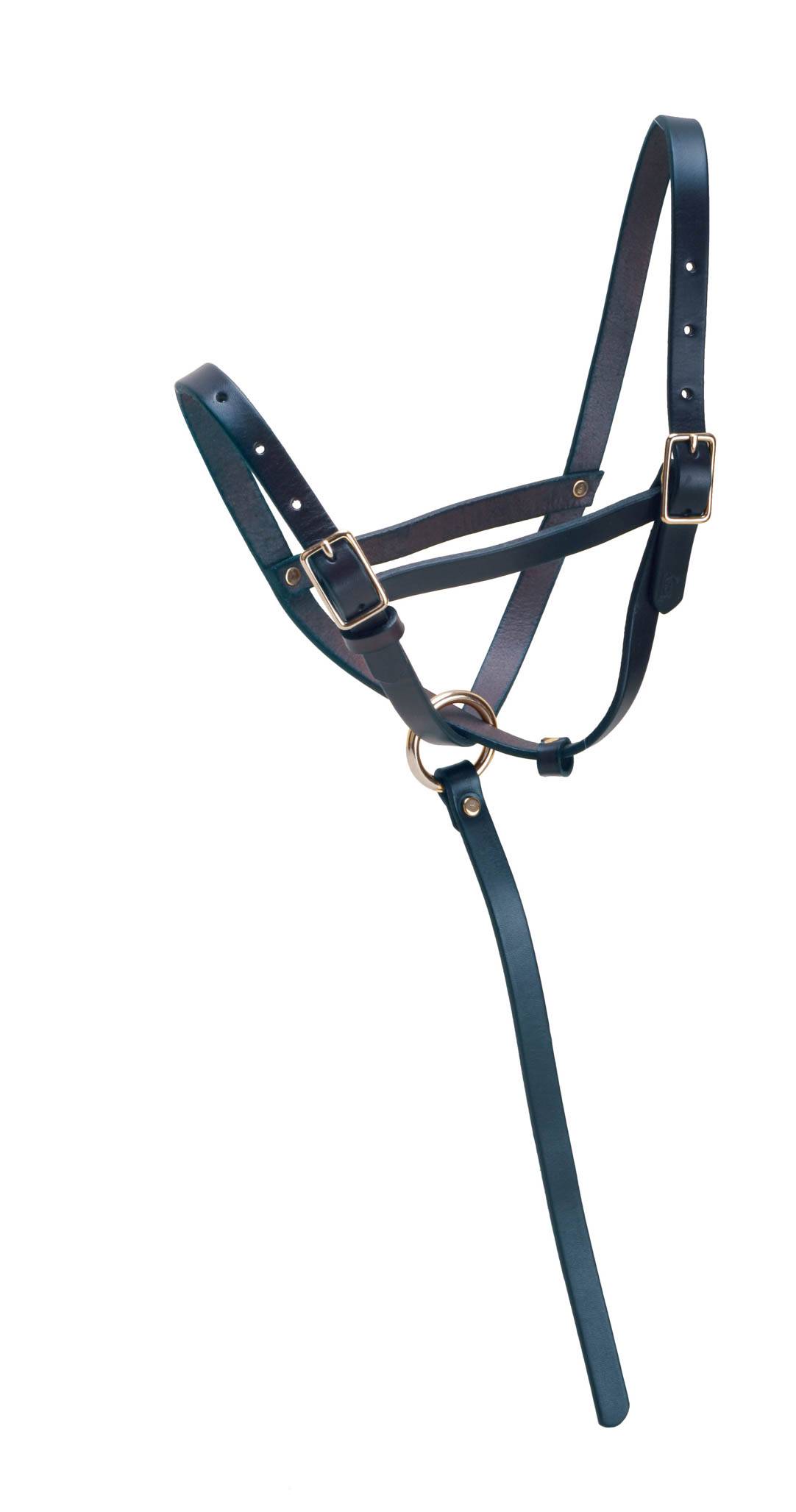 Tory Leather Leather Foal Slip Halter with Adjustable Nose