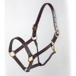 Tory Leather Traditional ProKentucky Halter