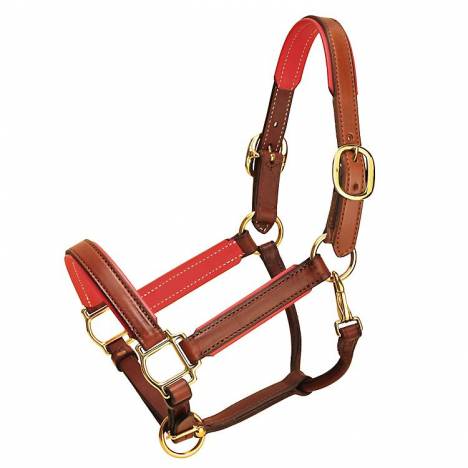 Tory Leather 1" Padded Halter with Brass Hardware