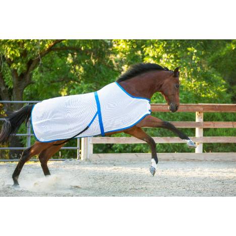 Saratoga Horseworks Summer Turnout
