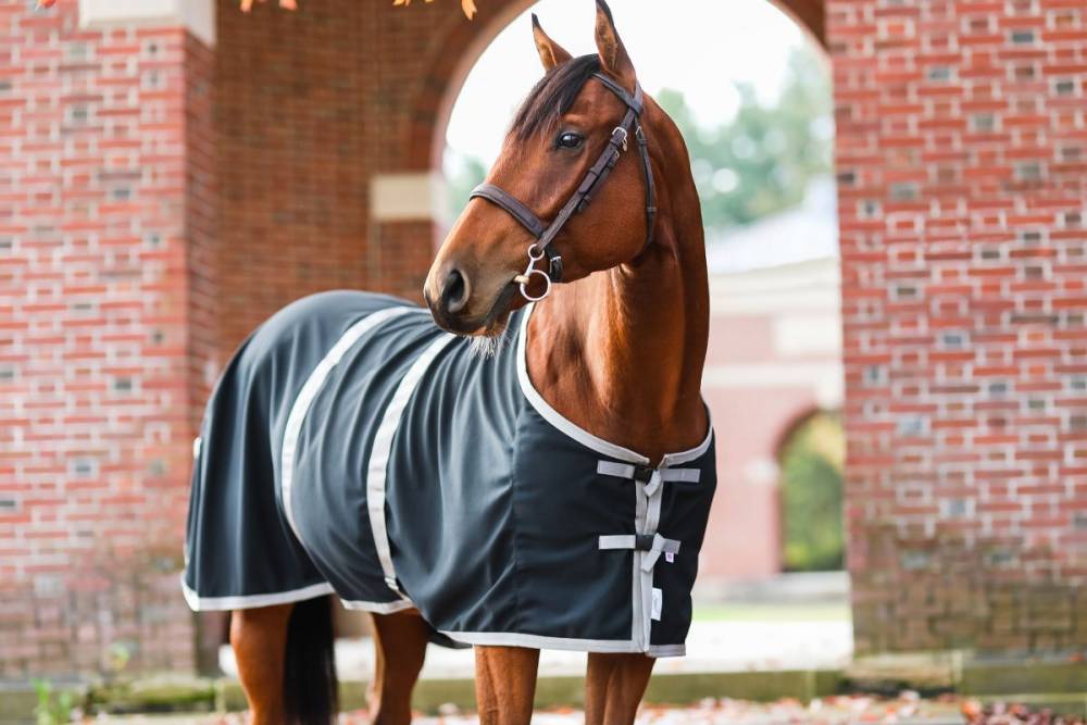 Saratoga Horseworks AntiSweat Sheet HorseLoverZ