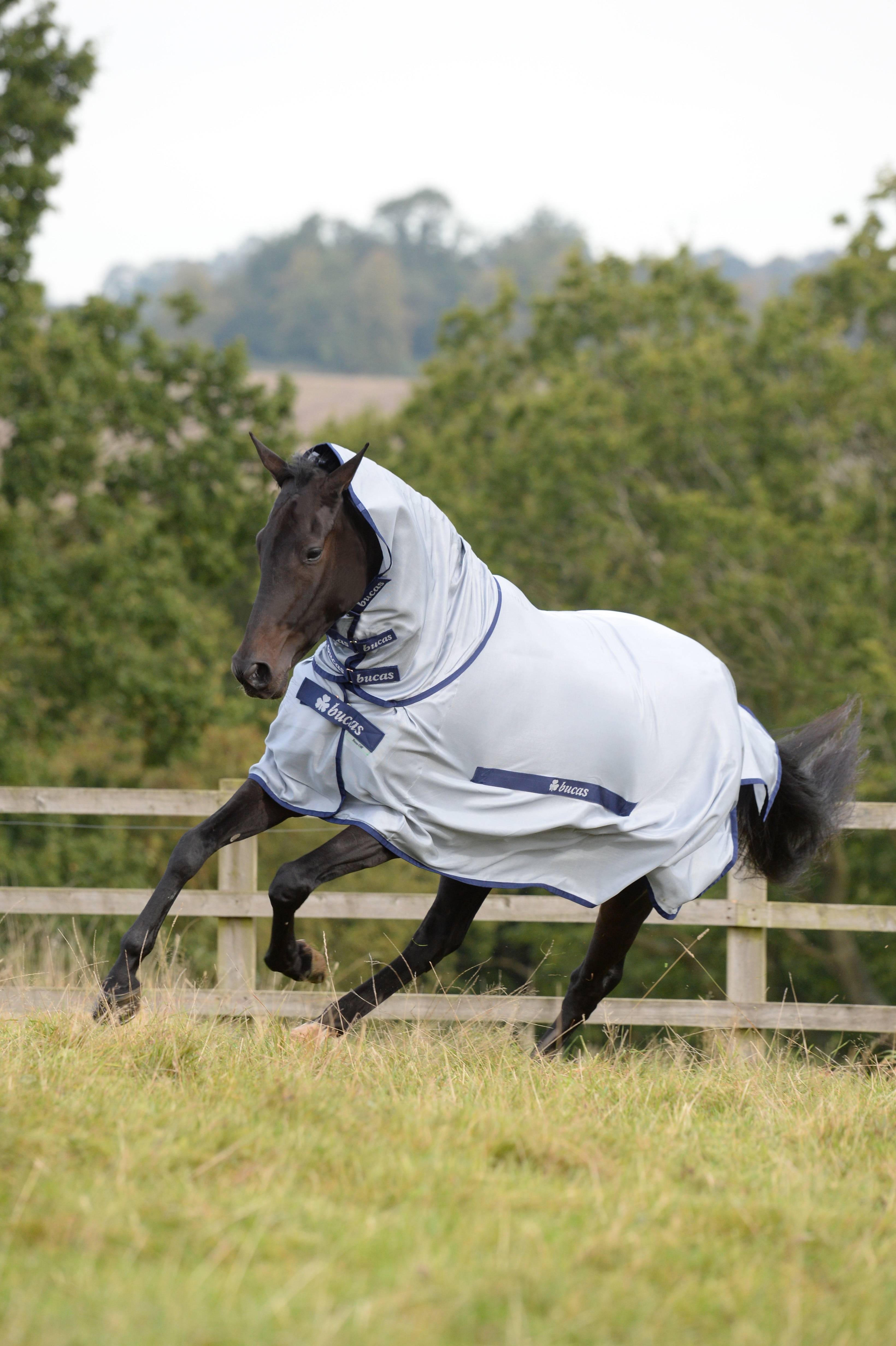 Bucas Buzz Off Detachable Neck Turnout Sheet