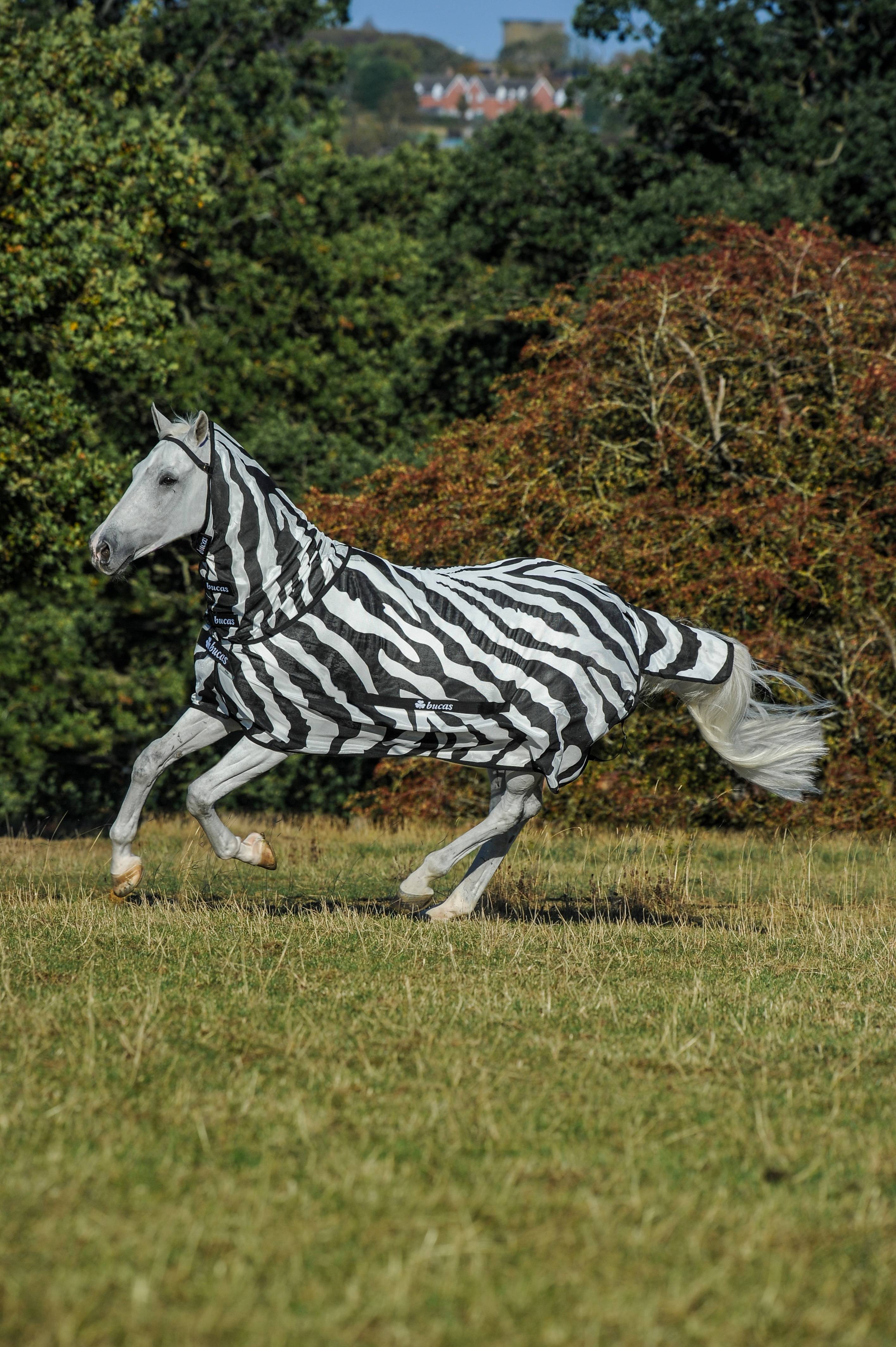 Bucas Zebra Buzz Off Detachable Neck Turnout Sheet
