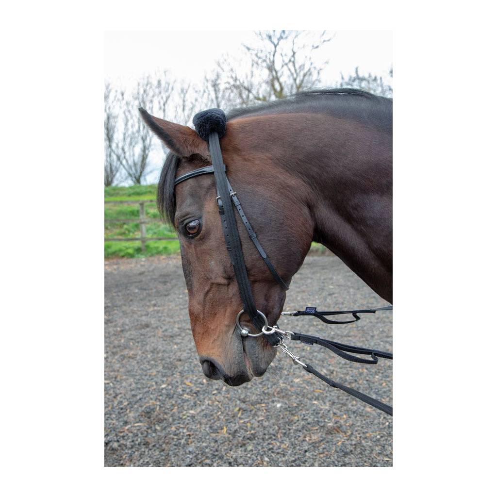 Shires Lunging Adapter