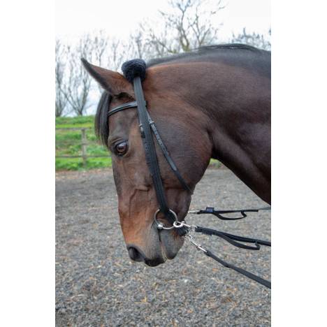 Shires Lunging Adapter