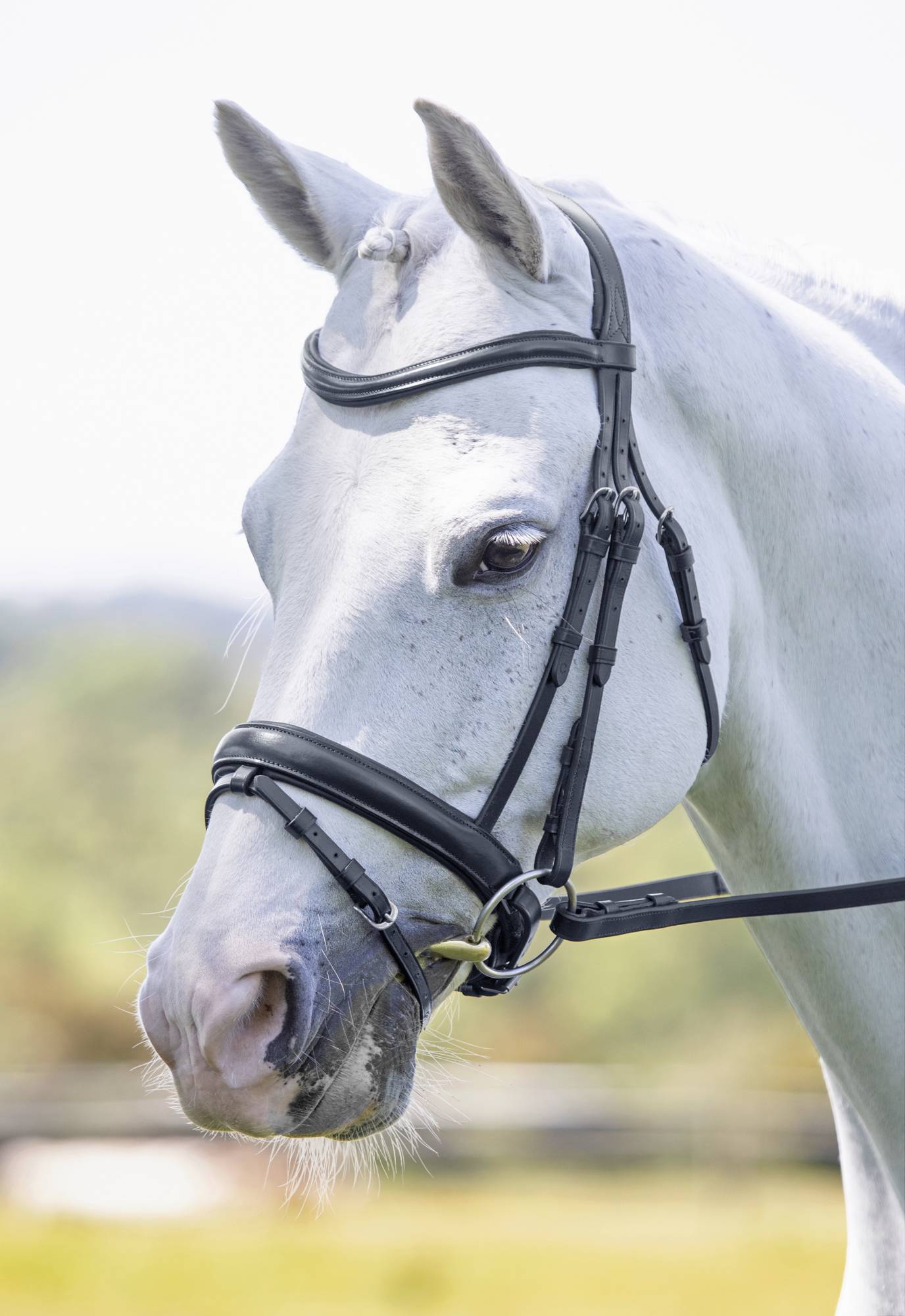 Shires Velociti Dressage Bridle With Flash