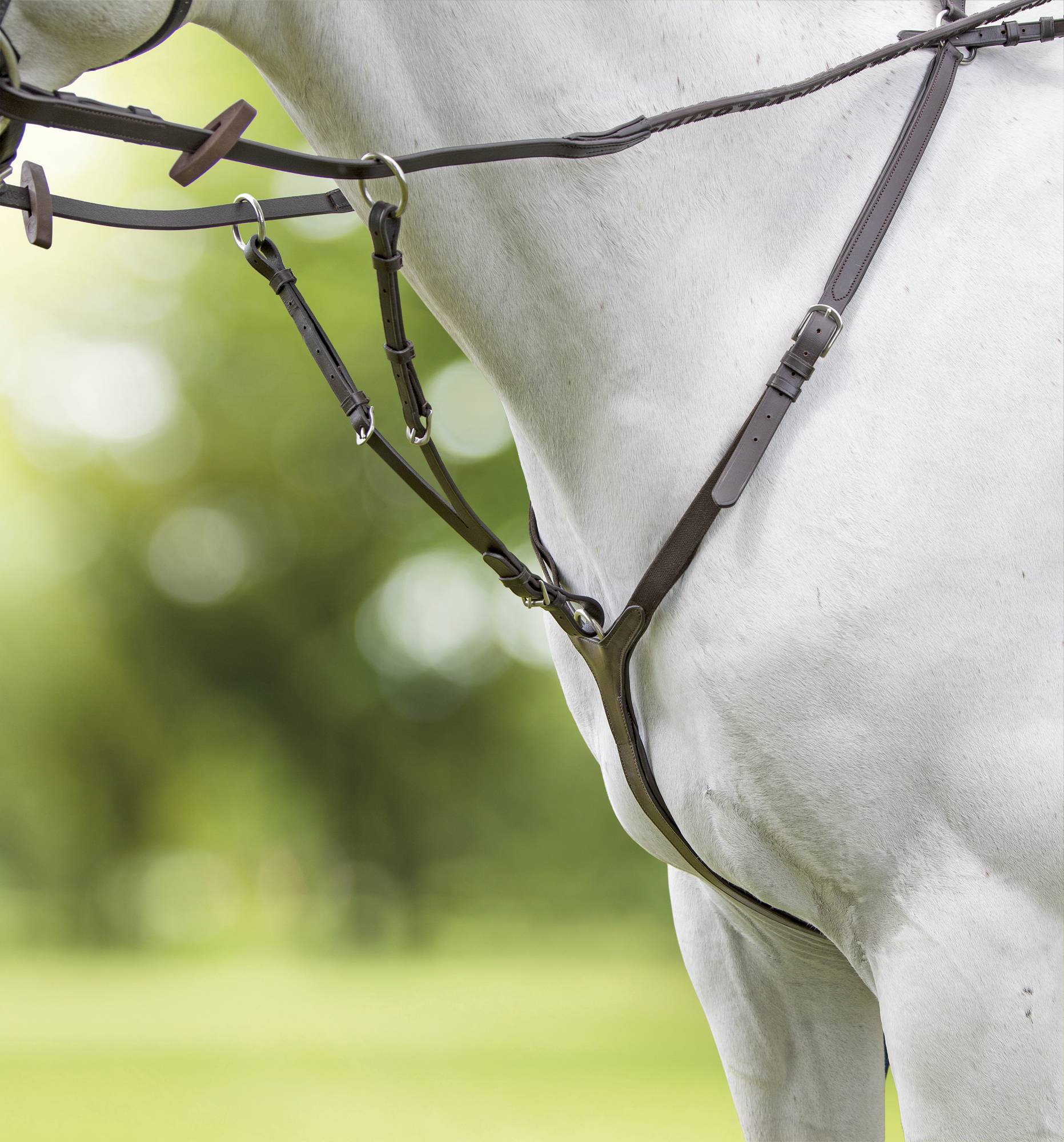 Shires Velociti Breastplate
