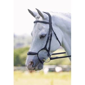 Shires Velociti Rolled Padded Cavesson Bridle