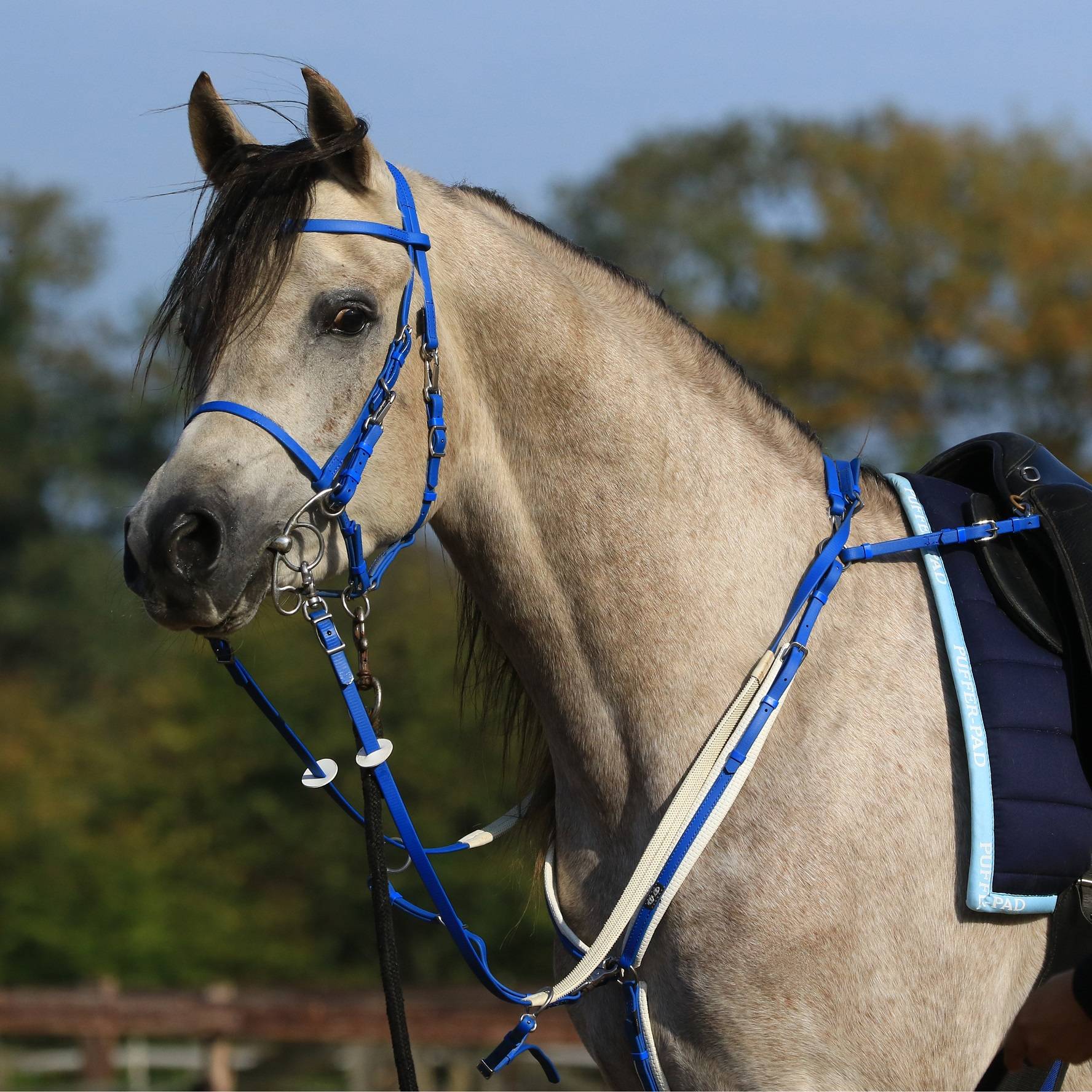 Zilco Ultra Lightweight Endurance Bridle