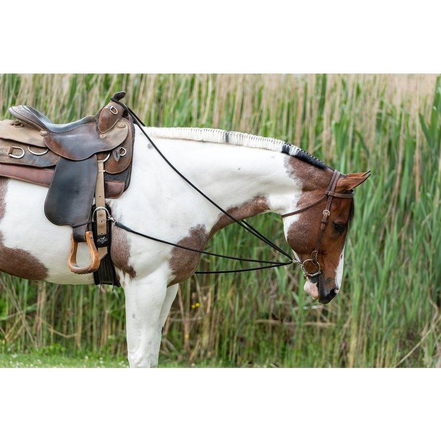 Perri's Draw Reins